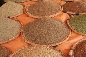 van idee naar verhaal